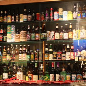 reptile beverage containers