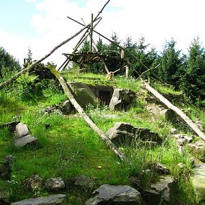 Northern white-cheeked gibbon Island