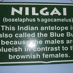 Catskill Game Farm sign