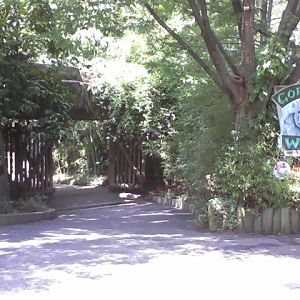Gorilla World Entrance