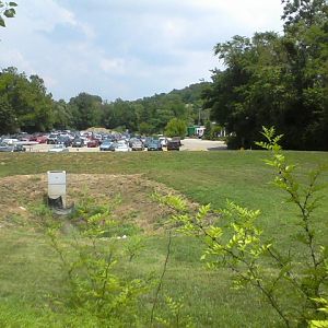 Future Sight of African Savannah