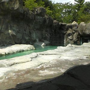 Lords of the Arctic- Second Polar Bear exhibit