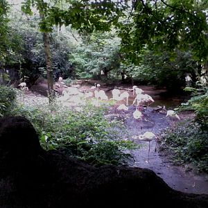 Rhino Reserve- Flamingo Cove