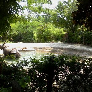 Rhino Reserve- Second Indian Rhino exhibit