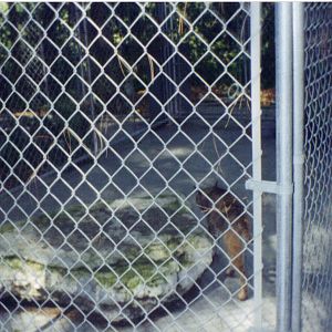 Adirondack animal land 90s