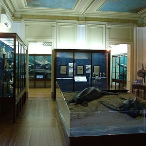 Museum Displays at Vasco da Gama Aquarium, 25/05/11