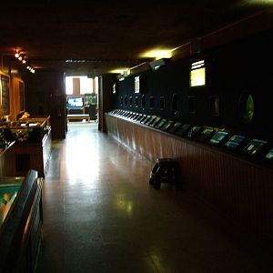 Native Marine Invertebrate Room at Vasco da Gama Aquarium, 25/05/11