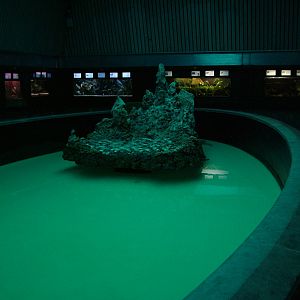 Sea Turtle Exhibit at Vasco da Gama Aquarium, 25/05/11