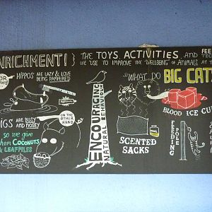 Enrichment board