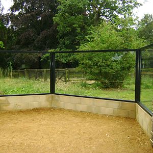 Anteater viewing window