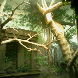 Jungle Trails- Part of Rotation exhibit