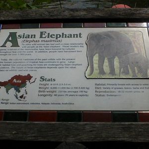 Signage Example- Find the mistake, go to ISIS to find out