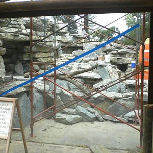 Night Hunters- Almost Finished Cougar exhibit