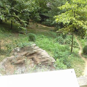 Wolf Woods- Mexican Wolf exhibit
