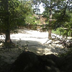 Rhino Reserve- Grevy's Zebra yard