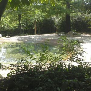 Rhino Reserve- First Indian Rhino exhibit