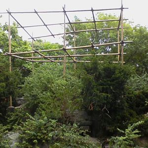 Gibbon Island- Siamang Island