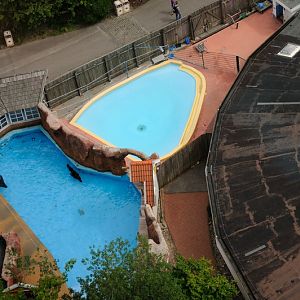 Sealion outdoors at Hansa-Park Sierksdorf
