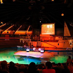Sealion indoors at Hansa-Park Sierksdorf