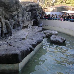 Sea lion enclosure