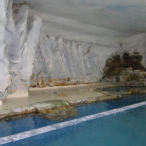 Penguin exhibit