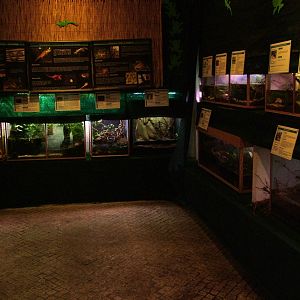 Amphibian Room at Vasco da Gama Aquarium, 25/05/11