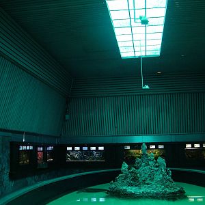 Sea Turtle Exhibit at Vasco da Gama Aquarium, 25/05/11