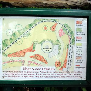 Dahlia-garden at Hansa-Park Sierksdorf