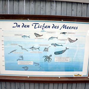 Sign at Hansa-Park Sierksdorf