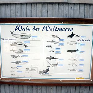 Sign at Hansa-Park Sierksdorf