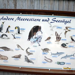 Sign at Hansa-Park Sierksdorf