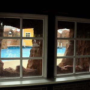 Sealion viewing-area at Hansa-Park Sierksdorf