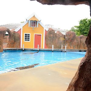 Sealion outdoors at Hansa-Park Sierksdorf