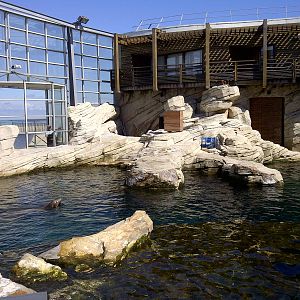Sealion Enclosure