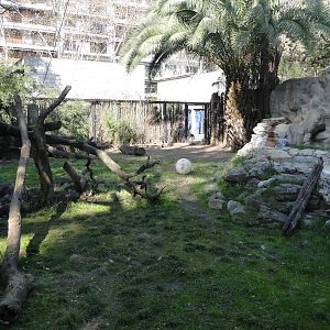 Jaguar exhibit