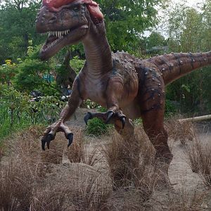 Dinosaurs at Large! - Chester, 16/07/11