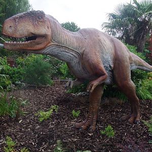 Dinosaurs at Large! - Chester, 16/07/11