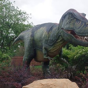 Dinosaurs at Large! - Chester, 16/07/11