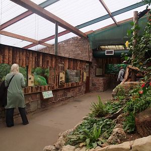 Tropical Realm Interior at Chester, 16/07/11