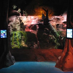 Freshwater Streams and Lakes - Second Exhibit