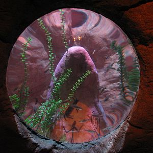 Cave - Mosquitofish Exhibit