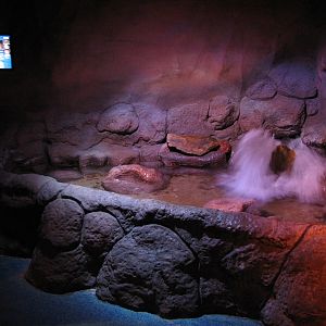 Cave - Third Exhibit