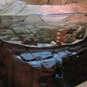 Rockpool - First Touchpool