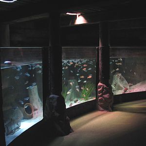 Harbor - Second Exhibit