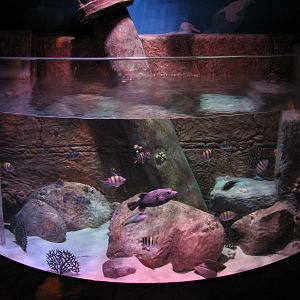 Harbor - Third Exhibit