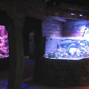 Shipwreck - Exhibits