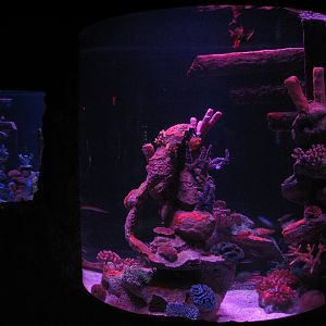 Shipwreck - Second Exhibit