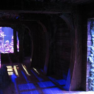 Shipwreck - Exhibits