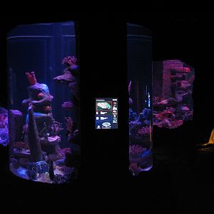 Shipwreck - Fourth Exhibit