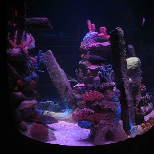 Shipwreck - Fourth Exhibit